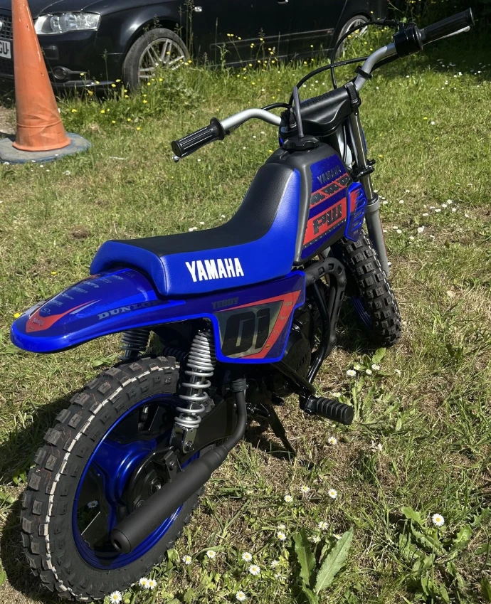 pw 50 graphics